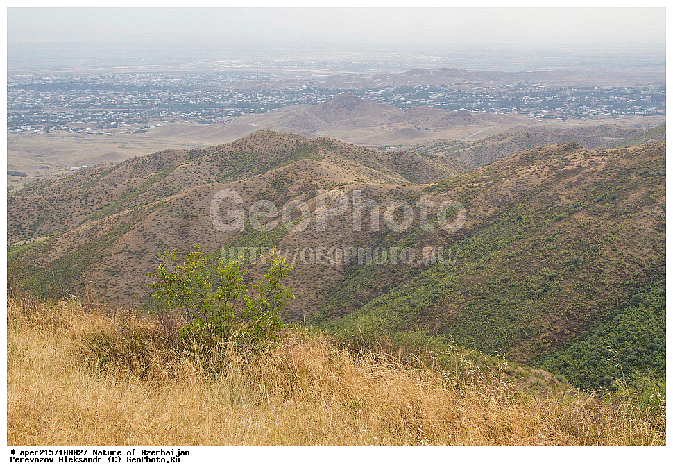 �����������, ������� ������, ������, ����,  ����, ���������, ����� ������, ����������, �����, �����, ������.