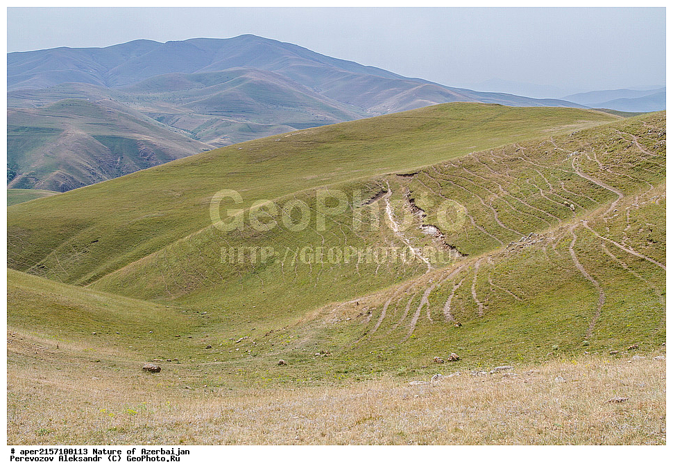 �����������, ������� ������, ������, ����,  ����, ���������, ����� ������, ����������, �����, 