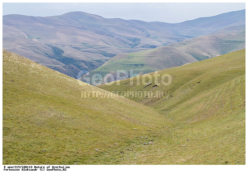 �����������, ������� ������, ������, ����,  ����, ���������, ����� ������, ����������, �����, 