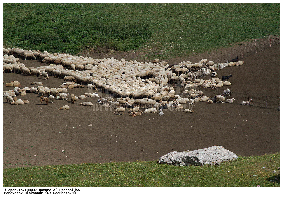 ���������, �����������, �����������, ������� ������, ������, ������, ����,  ����, ������, ���������, ����, ��������, ������, ������, �����, ����, ����, �����