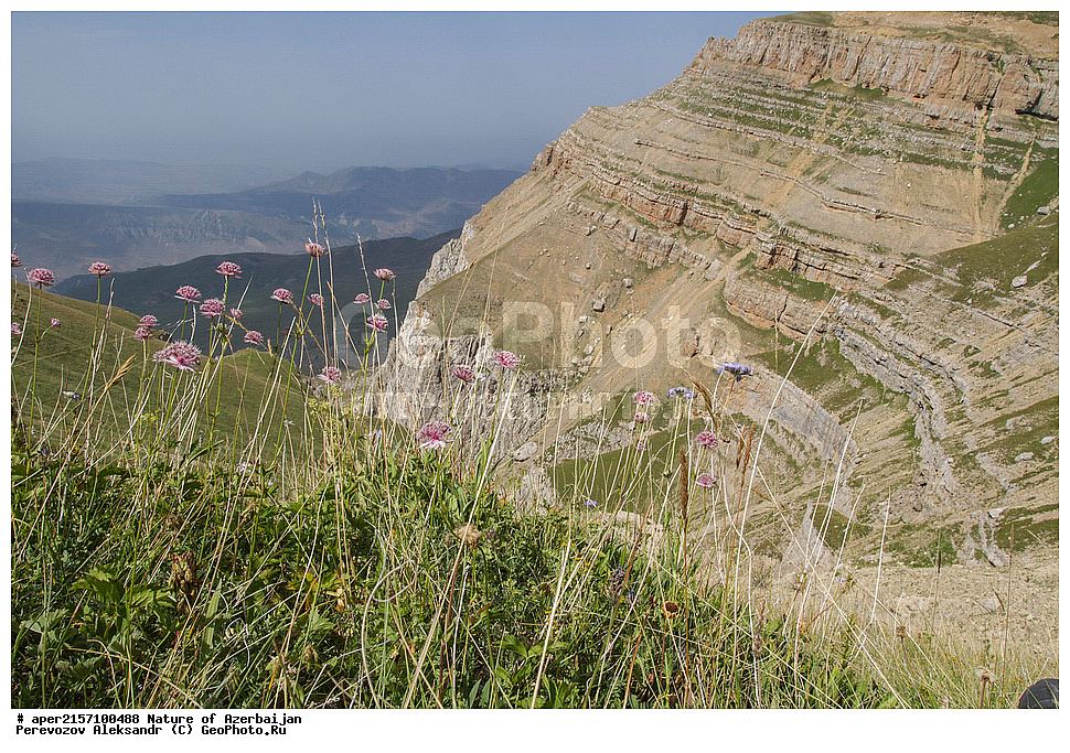 ����, ������� ������, ������,  ���������, �����, ����, ������, ��������, �����������, �����������, ��������, ���������, ��������� 