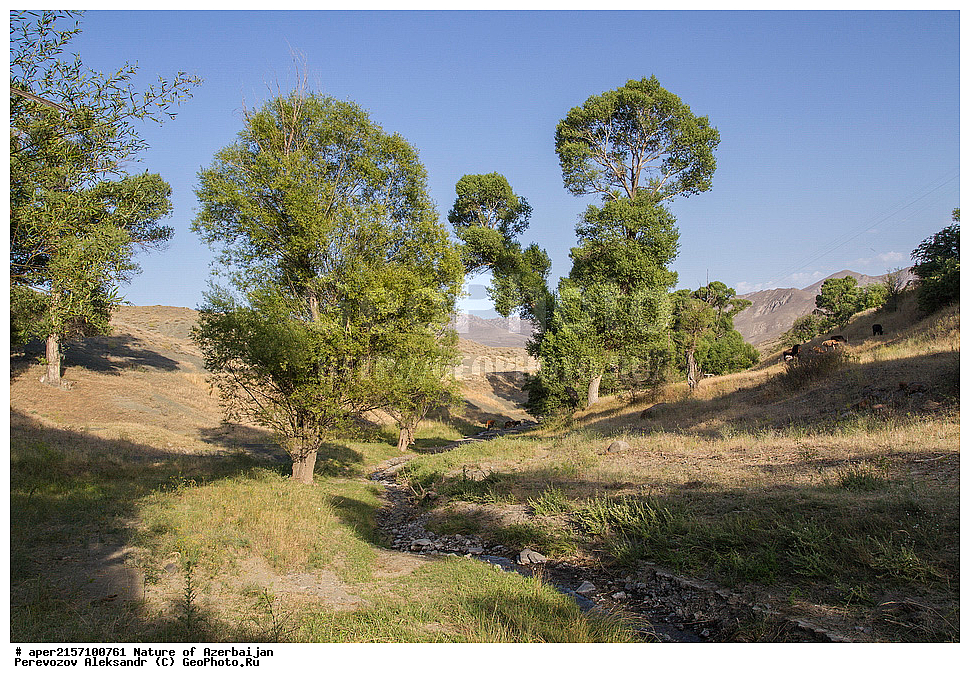  �����������, �����, ���������, �����, ��������, �����, �������, ����� �������, ������, �������, �����, ����, ����, 