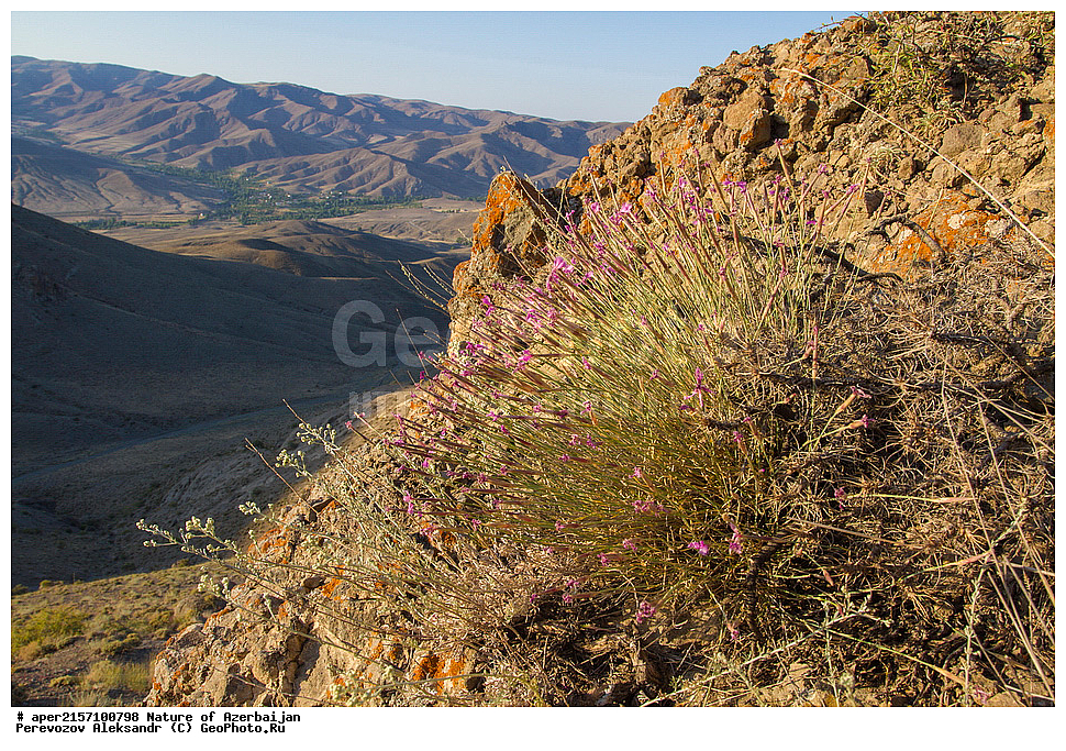 �����������, �����, ���������, �����, ��������, �����, �������, ����� �������, �������, ����, ��������, �����, �������� 