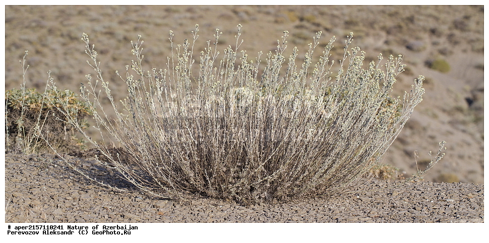 �����������, �����, ���������, �����, ��������, �����, �������, ����� �������, �������, ����, ��������, �����, ������