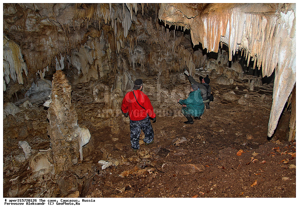 ������, ��������, �����������, �������, ����������, �������� �����������, �����,��������,
������, ��������, �������� �����, 
���������, ���������, ����������, ����������, ����������
, ������, �������� ������