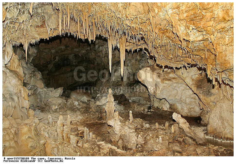 ������, ��������, �����������, �������, ����������, �������� �����������, �����, ��������,
������, ��������, �������� �����, 
���������, ���������, ����������, ����������, ����������
, ������, �������� ������