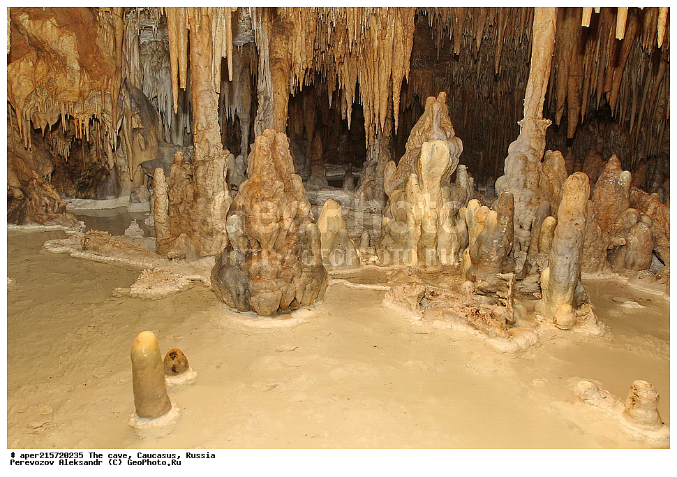 ������, ��������, �����������, �������, ����������, �������� �����������, �����, ��������,
������, ��������, �������� �����, 
���������, ���������, ����������, ����������, ����������
, ������, �������� ������