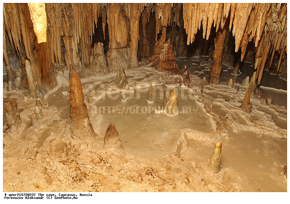 ������, ��������, �����������, �������, ����������, �������� �����������, �����, ��������,
������, ��������, �������� �����, 
���������, ���������, ����������, ����������, ����������
, ������, �������� ������