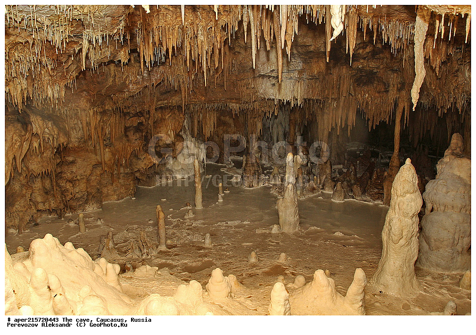 ������, ��������, �����������, �������, ����������, �������� �����������, �����, ��������,
������, ��������, �������� �����, 
���������, ���������, ����������, ����������, ����������
, ������, �������� ������