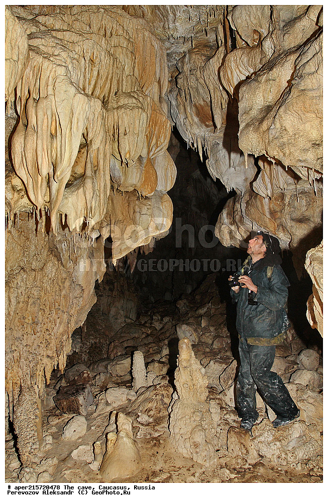 ������, ��������, �����������, �������, ����������, �������� �����������, �����,��������,
������, ��������, �������� �����, 
���������, ���������, ����������, ����������, ����������
, ������, �������� ������