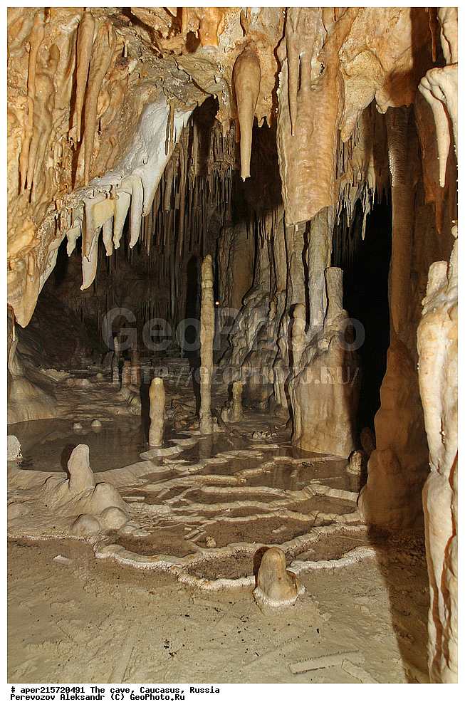 ������, ��������, �����������, �������, ����������, �������� �����������, �����, ��������,
������, ��������, �������� �����, 
���������, ���������, ����������, ����������, ����������
, ������, �������� ������