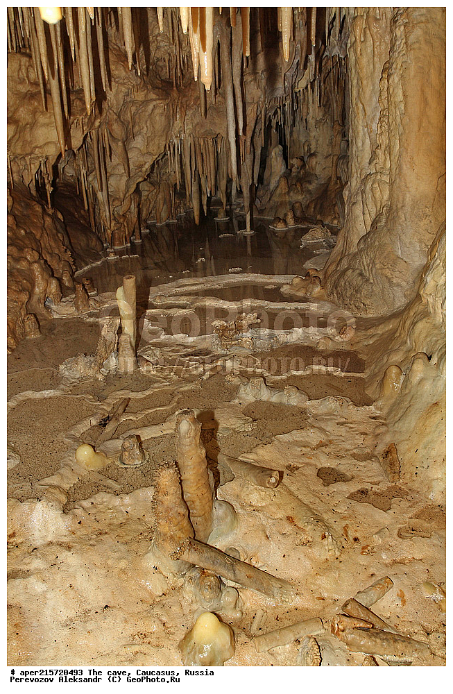 ������, ��������, �����������, �������, ����������, �������� �����������, �����, ��������,
������, ��������, �������� �����, 
���������, ���������, ����������, ����������, ����������
, ������, �������� ������