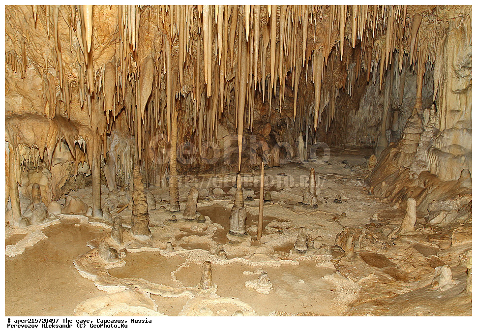 ������, ��������, �����������, �������, ����������, �������� �����������, �����, ��������,
������, ��������, �������� �����, 
���������, ���������, ����������, ����������, ����������
, ������, �������� ������