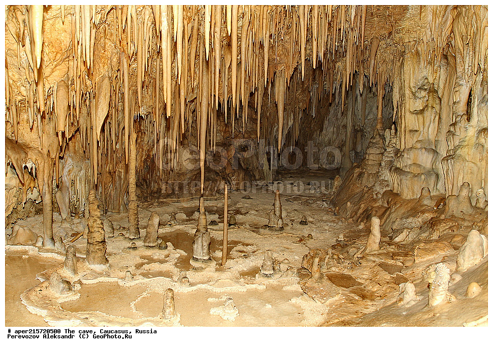 ������, ��������, �����������, �������, ����������, �������� �����������, �����, ��������,
������, ��������, �������� �����, 
���������, ���������, ����������, ����������, ����������
, ������, �������� ������