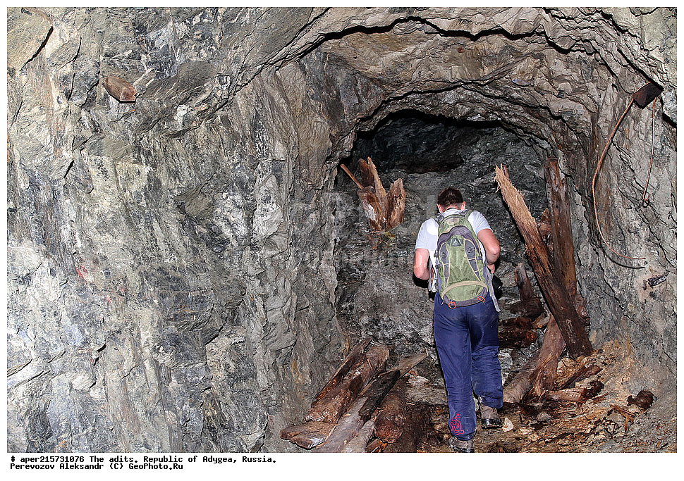 �������, ������, ����������, ������, ����, �������, �����, ���, ����������, ��������, ���������������, �����������, ����������