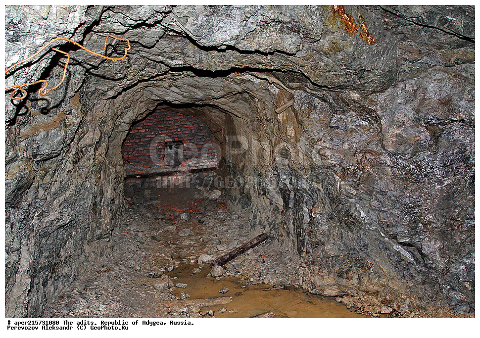 �������, ������, ����������, ������, ����, �������, �����, ���, ����������, ��������, ���������������, �����������, ����������