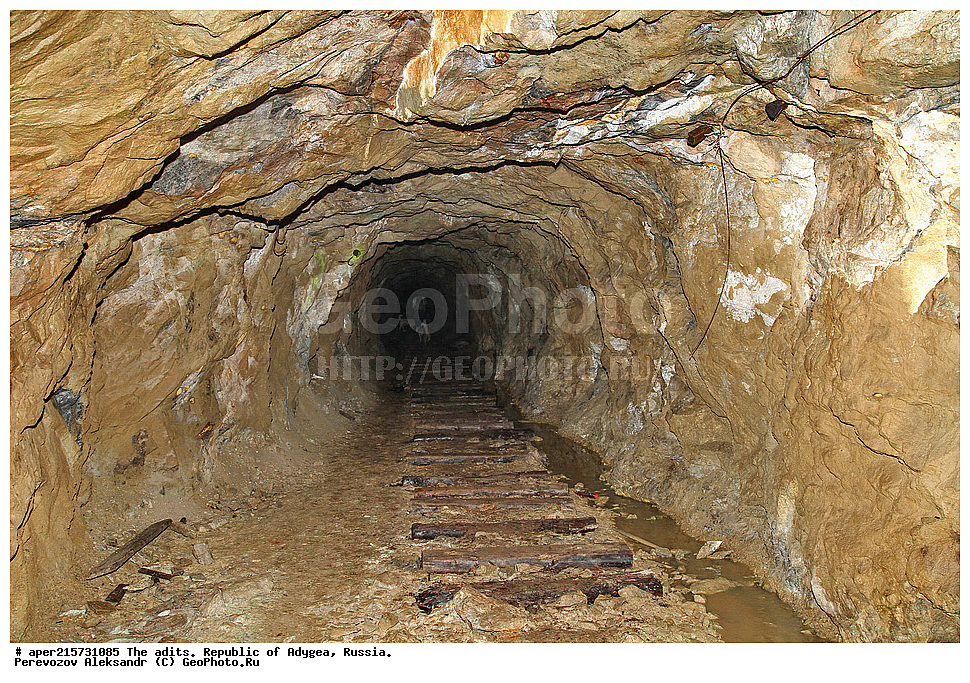 �������, ������, ����������, ������, ����, �������, �����, ���, ����������, ��������, ���������������, �����������, ����������