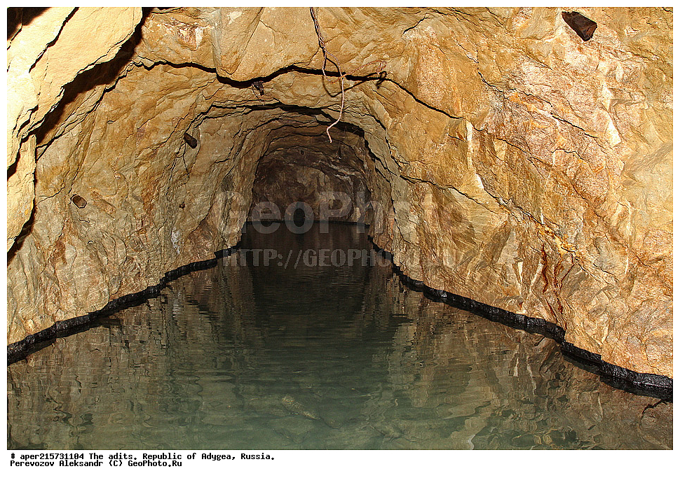 �������, ������, ����������, ������, ����, �������, �����, ���, ����������, ��������, ���������������, �����������, ����������