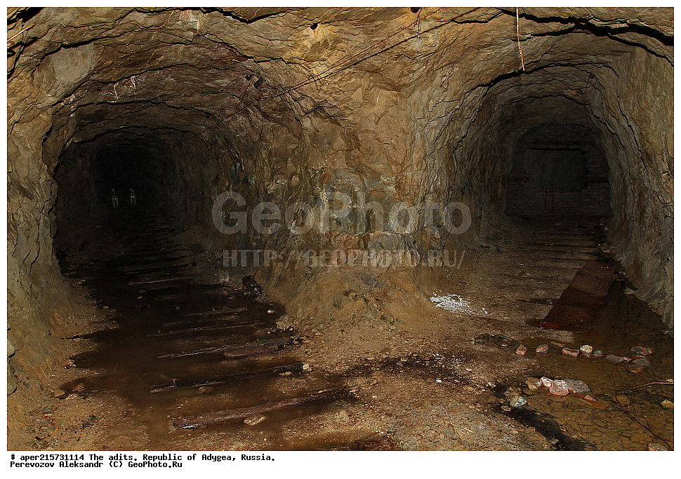 �������, ������, ����������, ������, ����, �������, �����, ���, ����������, ��������, ���������������, �����������, ����������