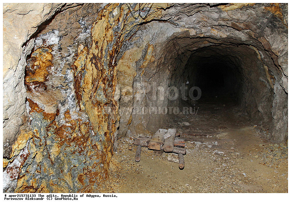 �������, ������, ����������, ������, ����, �������, �����, ���, ����������, ��������, ���������������, �����������, ����������