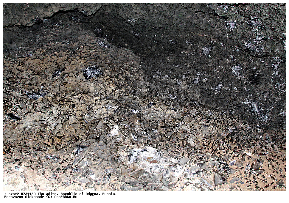 �������, ������, ����������, ������, ����, �������, �����, ���, ����������, ��������, ���������������, �����������, ����������