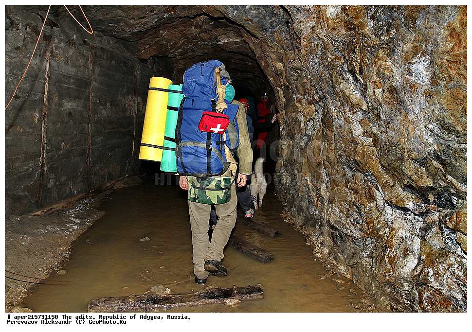 �������, ������, ����������, ������, ����, �������, �����, ���, ����������, ��������, ���������������, �����������, ����������