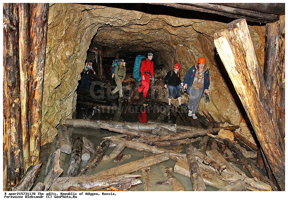 �������, ������, ����������, ������, ����, �������, �����, ���, ����������, ��������, ���������������, �����������, ����������