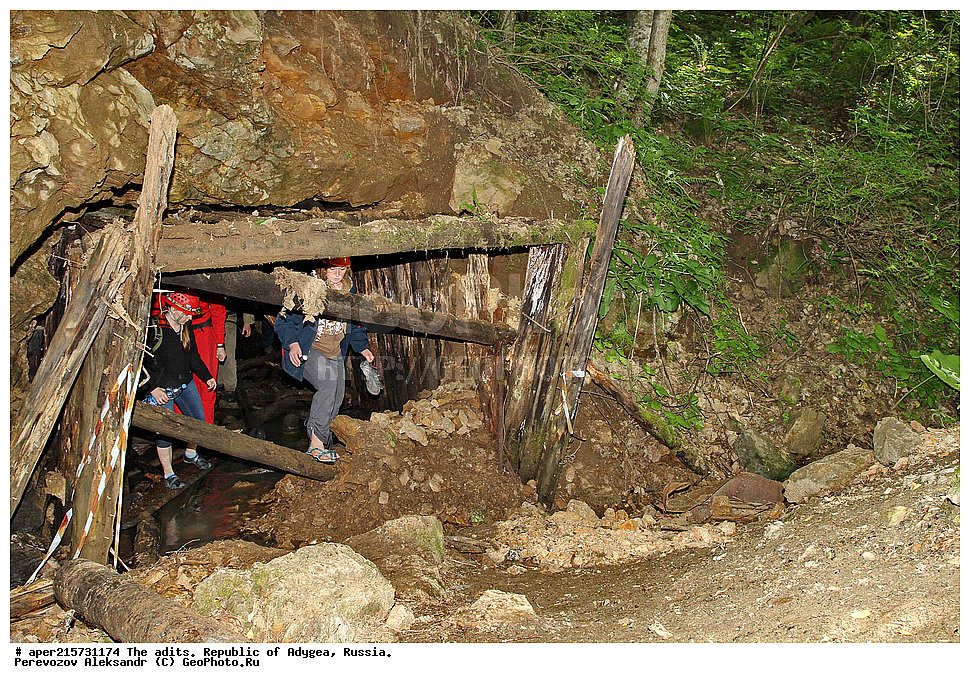 �������, ������, ����������, ������, ����, �������, �����, ���, ����������, ��������, ���������������, �����������, ����������