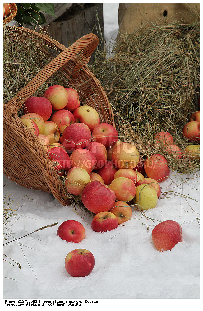 �����, ������, ��������, ������, �����, ����, �����, ��������, �������, ������, 