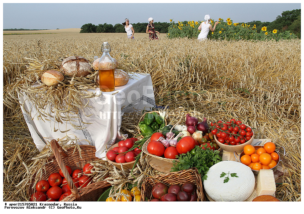 �������, �����, ������, ��������, ��������� ����, ����, ���������, ����, ������, ������, ��