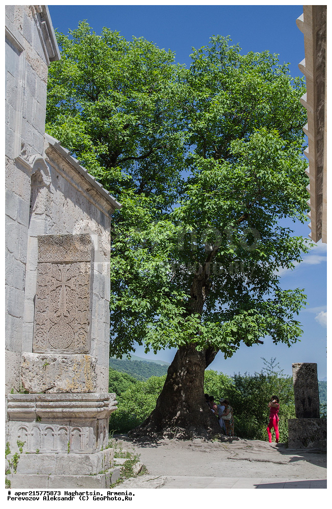 �������, �������, ������, �����������, ����, ������������, ������, ���������,  �������, ������, ��������, �������, �����,  ����, ����, ������, �����, ���������������������, �����������, ������,����, ��������, �������, ������, �������, ������� , ������