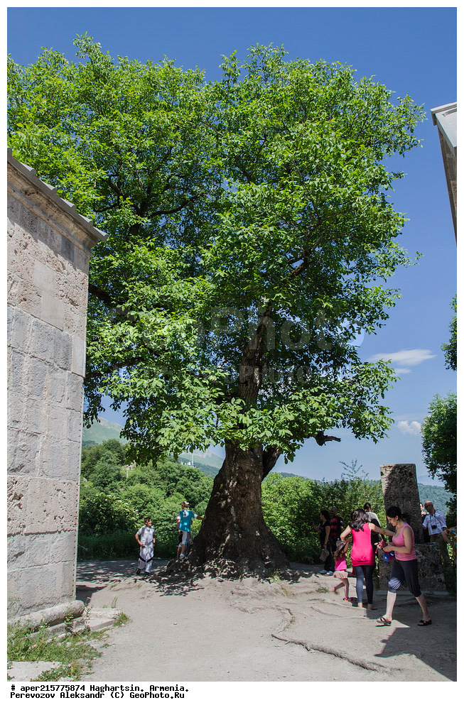 �������, �������, ������, �����������, ����, ������������, ������, ���������,  �������, ������, ��������, �������, �����,  ����, ����, ������, �����, ���������������������, �����������, ������,����, ��������, �������, ������, �������, ������� , ������