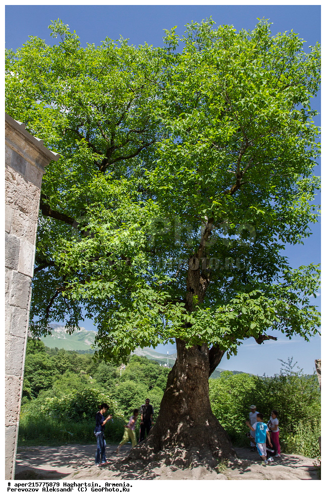 �������, �������, ������, �����������, ����, ������������, ������, ���������,  �������, ������, ��������, �������, �����,  ����, ����, ������, �����, ���������������������, �����������, ������,����, ��������, �������, ������, �������, ������� 