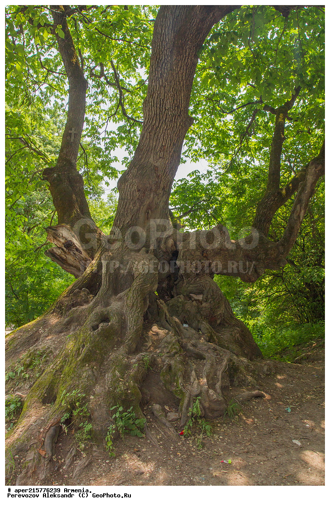 �������, �������, ������, �����������, ����, ������������, ������, ���������,  �������, ������, ��������, �������, �����,  ����, ����, ������, �����, ���������������������, �����������, ������,����, ��������, �������, ������, ���������, ��������, ��������, ������, ������