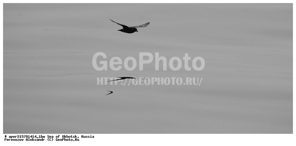 ��������, �������� ����, ������, ��������, ����, ������, ������� ������, ����, ����, ������, ��������, XYZ