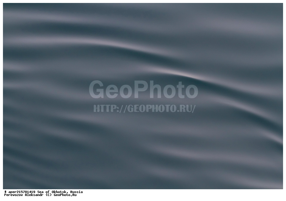 ��������, �������� ����, ������, ��������, ����, ������, ������� ������, ����, ����, ������