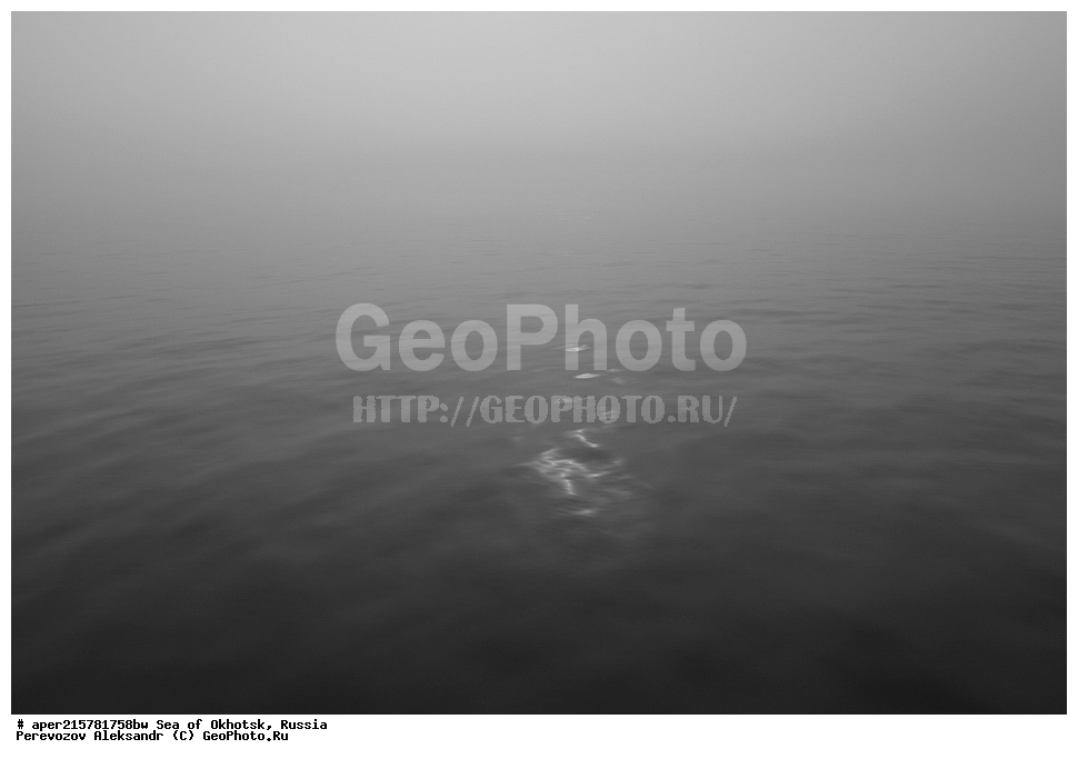 ��������, �������� ����, ������, ��������, ����, ������, ������� ������, ����, ����, ������