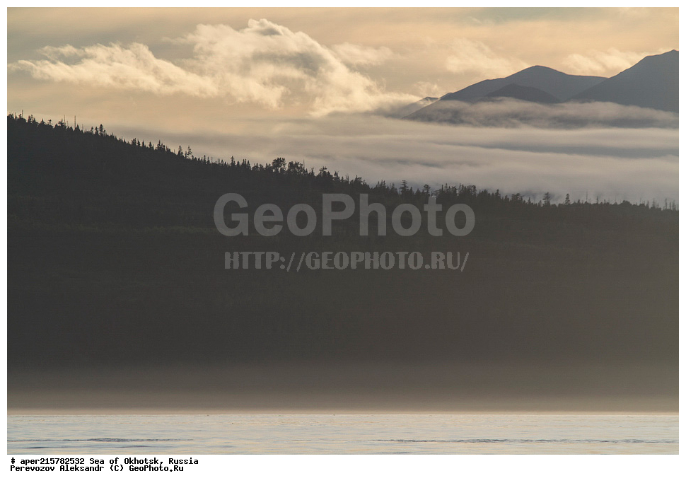 ��������, ��������� �����, �������, �������� ����, ������, ��������, ����, ������, ������� ������, ����