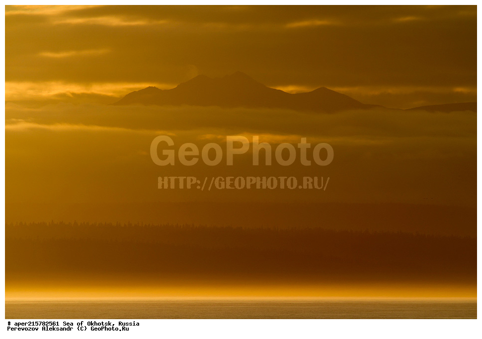 ��������, ��������� �����, �������, �������� ����, ������, ��������, ����, ������, ������� ������, ����