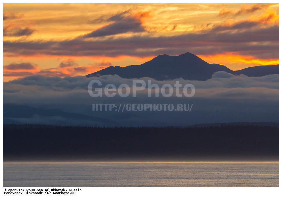 ��������, ��������� �����, �������, �������� ����, ������, ��������, ����, ������, ������� ������, ����