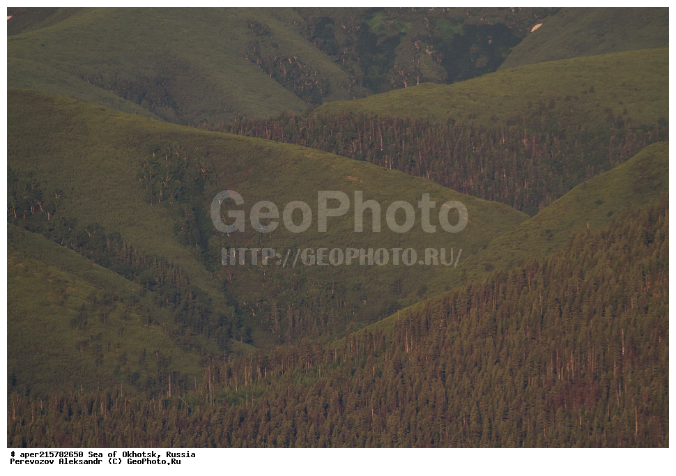 ��������, ��������� �����, �������, �������� ����, ������, ��������, ����, ������, ������� ������, ����