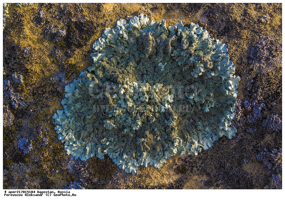 �����, ����� ����, ����������� ������, ������������ ����������, ��������, ������