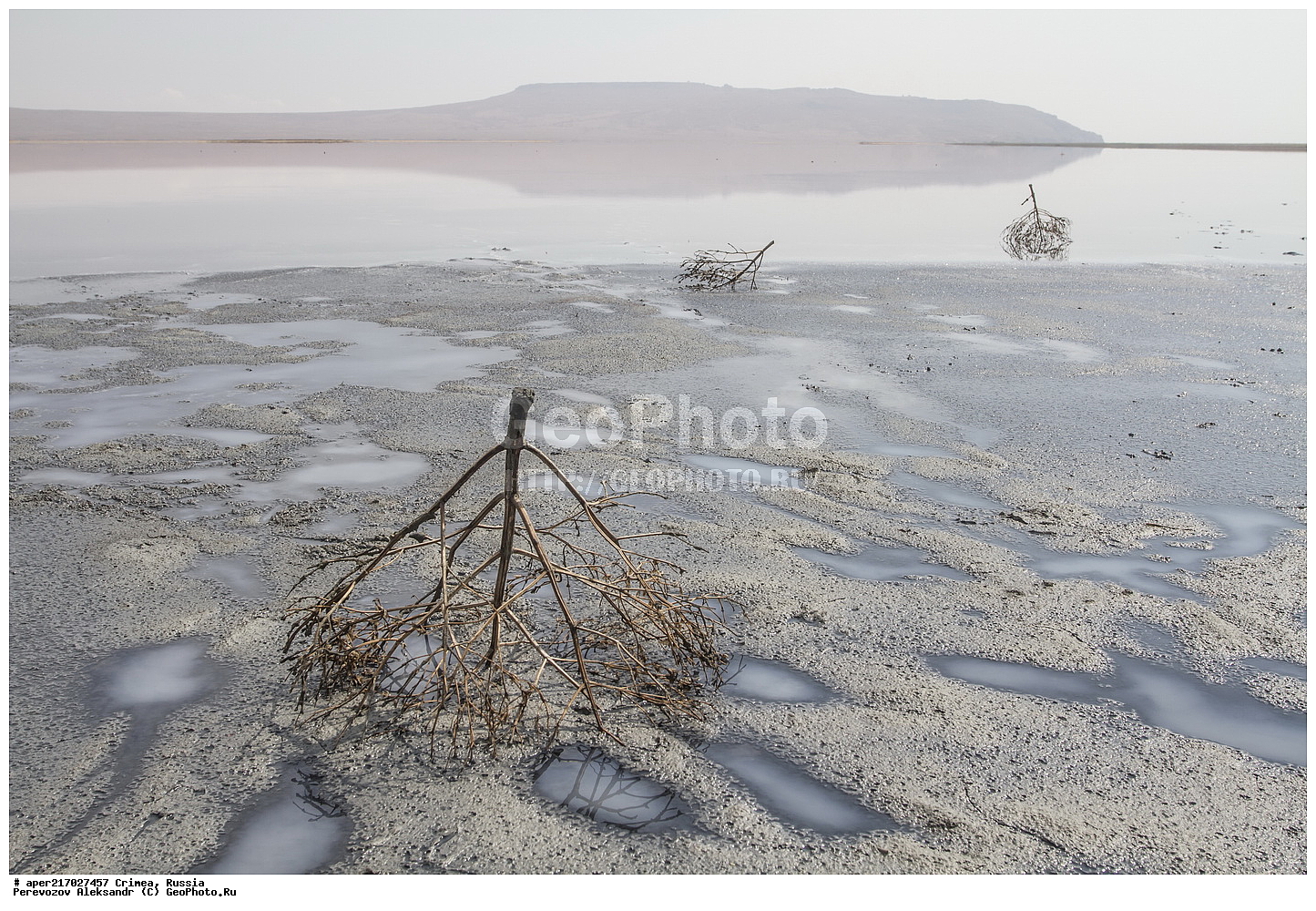 ��������, ���������, ����������, �������� �����, �������� ���������, �������� ����������, ������