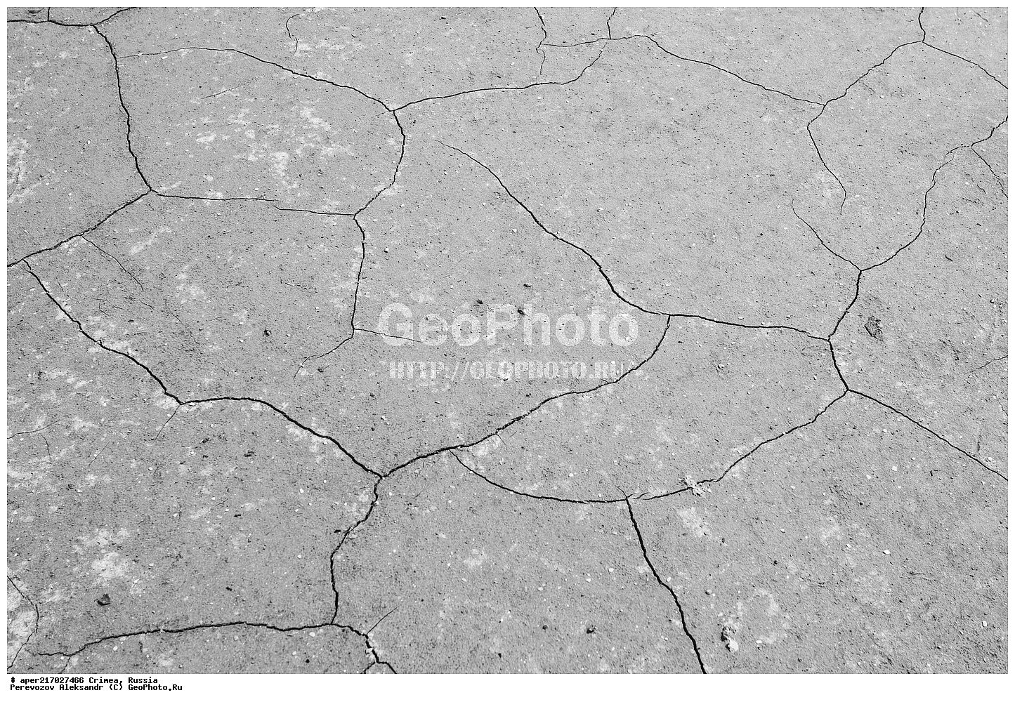 ��������, ���������, ����������, �������� �����, �������� ���������, �������� ����������, ������