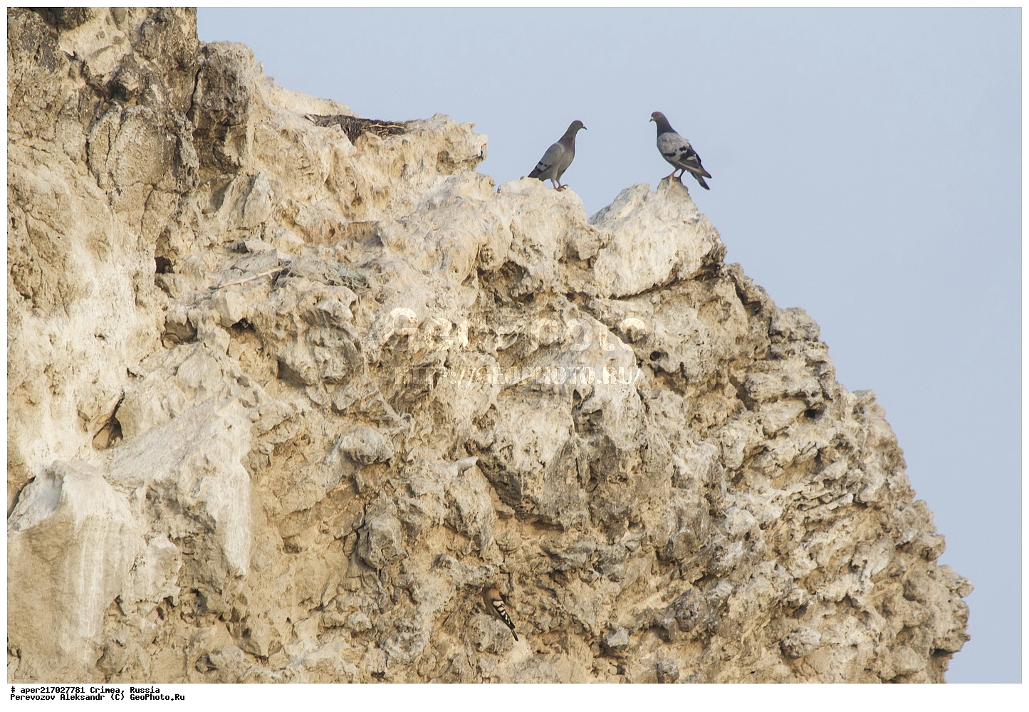 ��������, ���������, ����������, �������� �����, �������� ���������, �������� ����������, ������