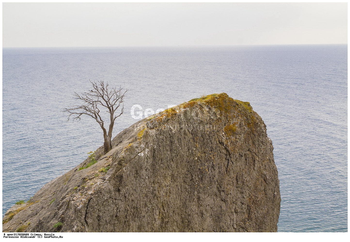 ����� ��������, ������� ����, ��� ������, ����, �������� ����������, ������