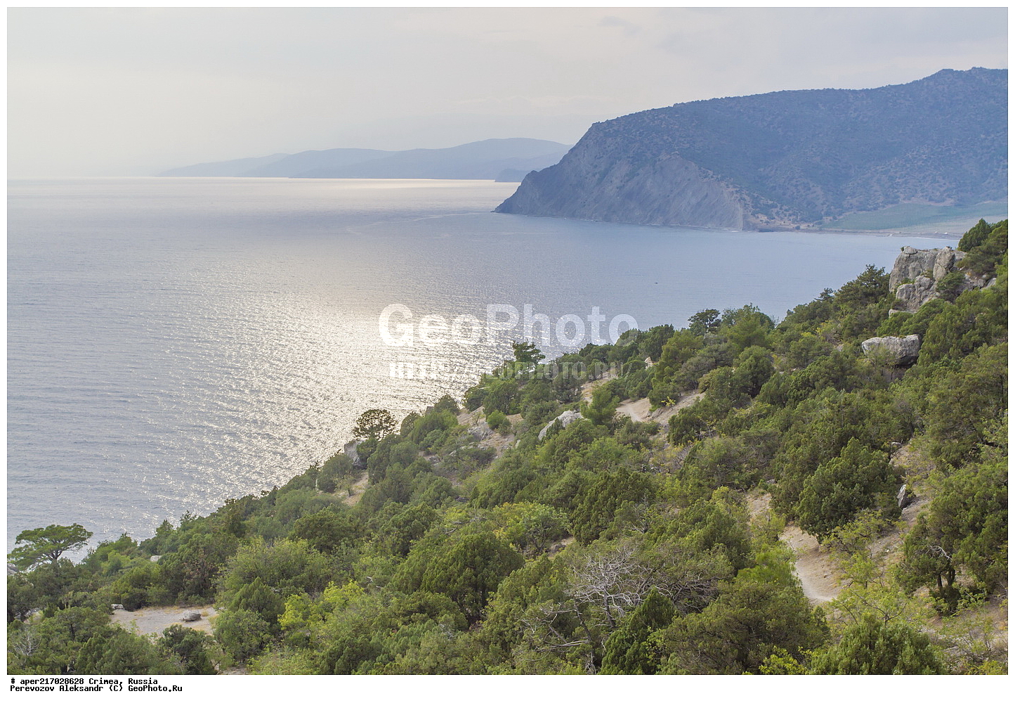 ����� ��������, ������� ����, ��� ������, ����, �������� ����������, ������