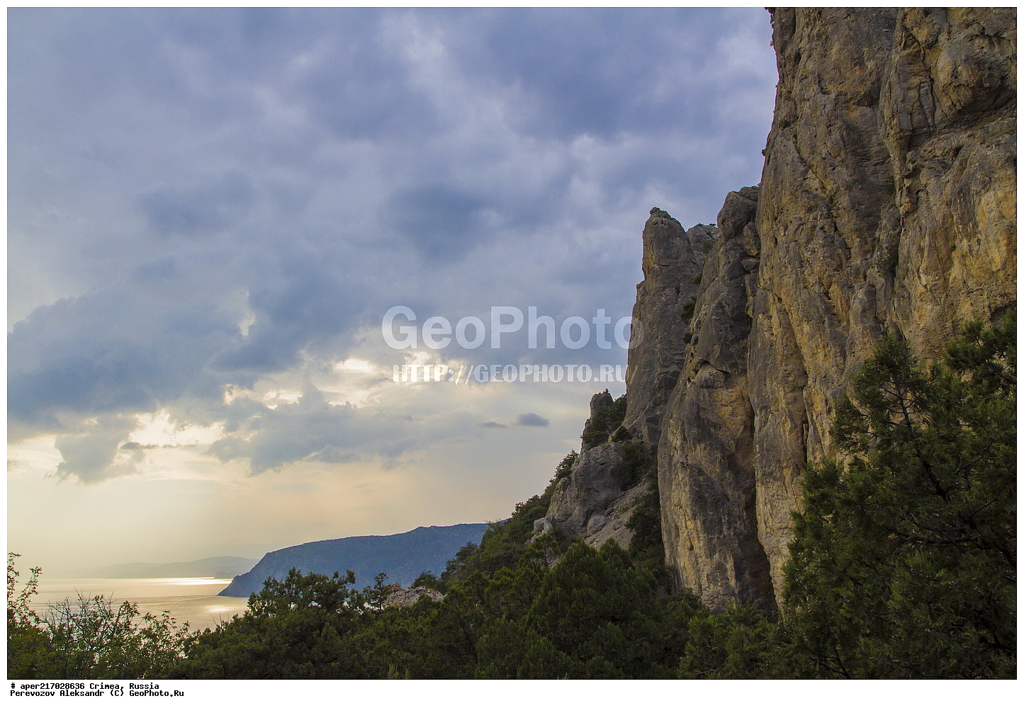 ����� ��������, ������� ����, ��� ������, ����, �������� ����������, ������