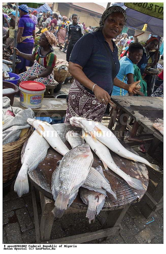 ������ ����� ������. �����, �������, �������� ������