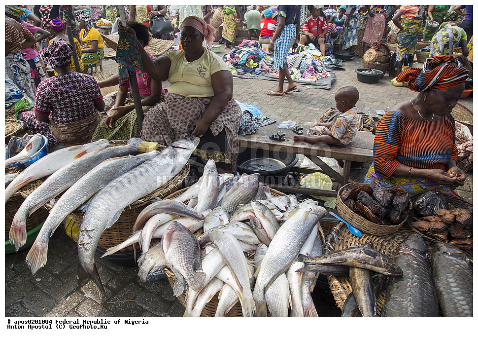 ������ ����� ������. �����, �������, �������� ������